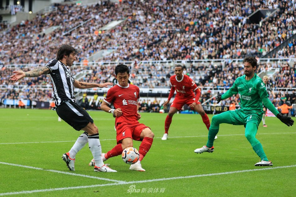 再见篮球 再见篮球